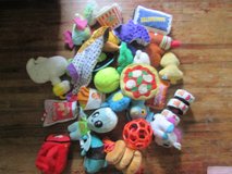 Pet Toys in Sugar Grove, Illinois