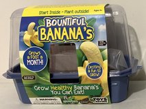 New! Toys by Nature Bountiful Banana starter Terrarium Grow Kit in Joliet, Illinois