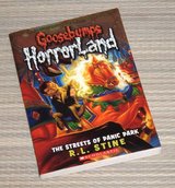 Streets of Panic Park Book Goosebumps Horror Land Scholastic in Oswego, Illinois