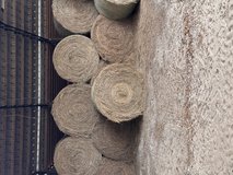 Fertilized Bahia round bales. in Fort Polk, Louisiana