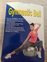 mew Gymnastic Ball 65 cm in Baumholder, GE
