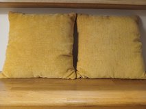 2 pillows in Alamogordo, New Mexico