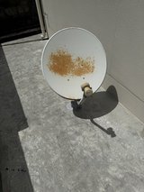 Satellite Dish with Mount in Okinawa, Japan