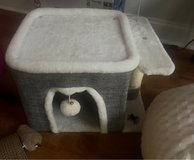 cat house in Warner Robins, Georgia