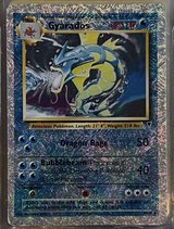 WTB Vintage Pokemon cards in Okinawa, Japan