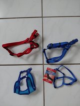 Dog harness in Ramstein, Germany