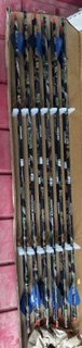 New Hunting arrows in Alamogordo, New Mexico