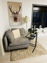 2BR 1,5BA Large Modern City Apartment for Rent *Fully Furnished* in Ramstein, Germany