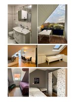 high end fully furnished family apartment or business co-living in Heidelberg, GE