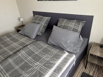 Gray headboard bed (euro) in Ramstein, Germany