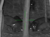 ATN 5x20 Night Vision Scope in Fort Polk, Louisiana