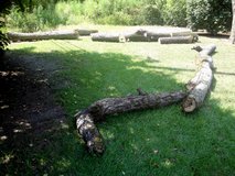 FREE Firewood Logs from 2 Pecan Tree Branches in Warner Robins, Georgia