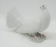PORCELAIN DOVE - BEAUTIFUL in Plainfield, Illinois
