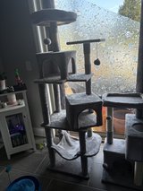 Cat Scratchers in Aurora, Illinois