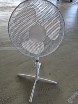 oscillating fan Oszillierender Ventilator in Wiesbaden, GE