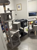 Cat Scratchers in Aurora, Illinois
