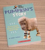 Pumpkins Story Book Scholastic Dodo Series in Yorkville, Illinois