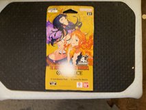 One Piece in Kingwood, Texas