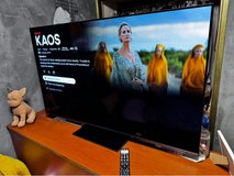 TVS REGZA 4K Organic EL 55” in Okinawa, Japan