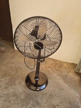 Metal Fan in Ramstein, Germany