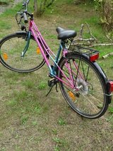 2 days only !! robust bicycle for every day + every weather, for medium-sized people in Ramstein, Germany