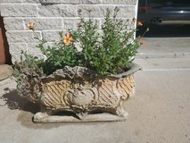 Concrete Decorative Planter in Houston, Texas