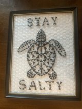 Sea Turtle in Camp Lejeune, North Carolina