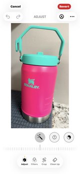 Stanley Thermos in Perry, Georgia