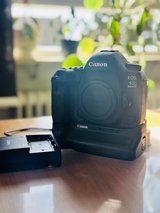 Canon 5D Mark IV Bundle – BG-E20 Grip, 2 Canon Batteries, 96GB CF Storage – €825 OBO in Stuttgart, GE
