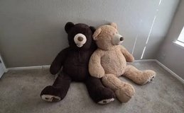 Two XXL teddy bears in Fairfield, California
