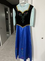 Adult Frozen Anna Costume in Alamogordo, New Mexico