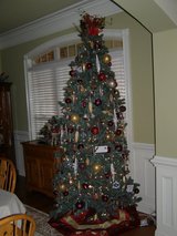Christmas Tree in Warner Robins, Georgia