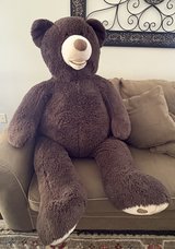 Brown XXL teddy bear in Fairfield, California
