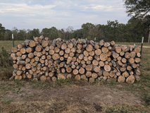 Seasoned white oak in Fort Leonard Wood, Missouri