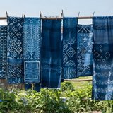 Kids' Trip Oct 4: Indigo Dyeing + Churaumi in Okinawa, Japan