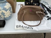 Brahmin in Kingwood, Texas