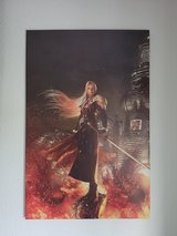 Sephiroth Shinra Canvas in Ramstein, Germany