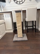 Cat Scratching Post in Warner Robins, Georgia