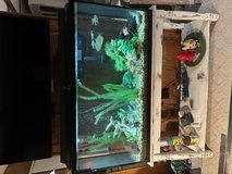 55 gallon aquarium in Yorkville, Illinois