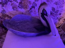 Stone pelican in Chicago, Illinois