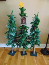 Three Christmas / Holiday Trees in Aurora, Illinois