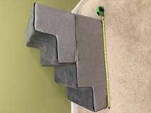 Pet stairs in Aurora, Illinois