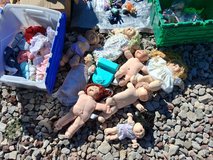 Cabbage Patch Collection in Alamogordo, New Mexico
