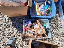 Barbie Collection in Alamogordo, New Mexico