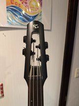 NS NXT Electric Upright Bass in Okinawa, Japan