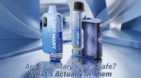 Lost Mary Vapes | Ergonomic Design & Bold Flavors in Ramstein, Germany