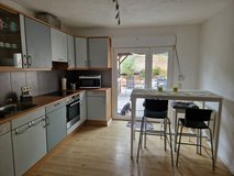 House dogparadise 1800m2 fenced yard in Ramstein, Germany
