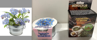 New! $15 for 2 Plant Starter Kits Forget Me Not Tin AND Dinosaur Plant in Joliet, Illinois