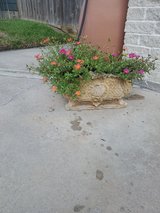 Concrete Decorative Planter in Kingwood, Texas