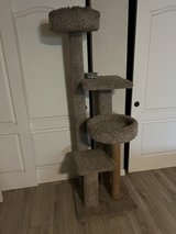 Cat Tree in Vacaville, California